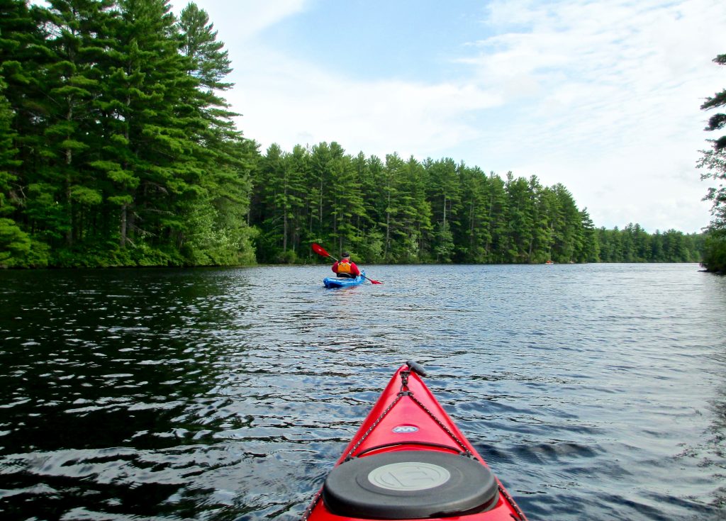 Kayaking Pawtuckaway Lake Fundy Cove Launch Nottingham, NH