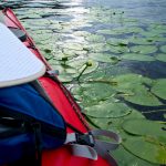 Kayaking-Pawtuckaway-Lake-Fundy-Cove-Launch